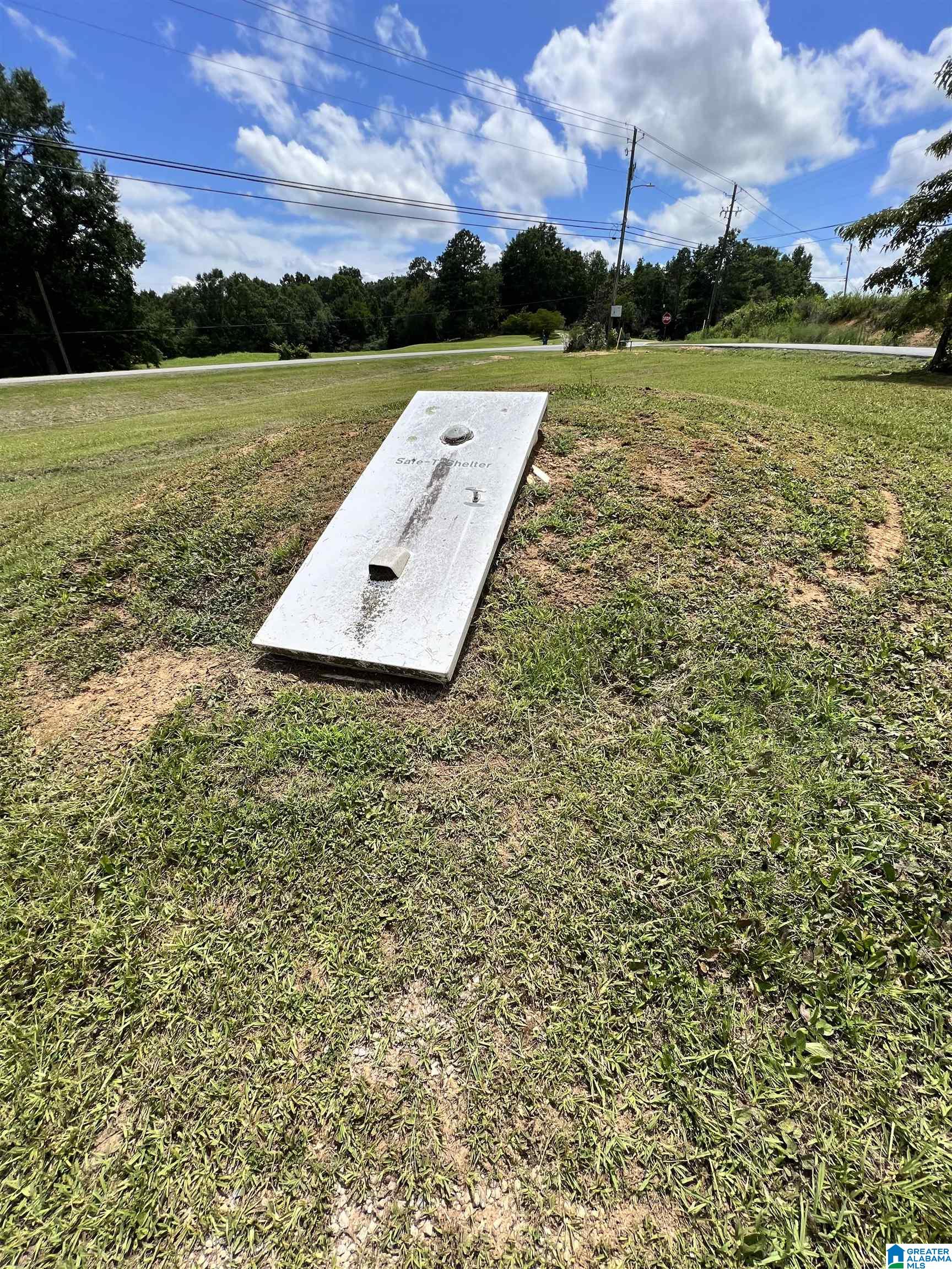 61252 Highway 231 Cleveland, AL 35049 - Photo 6 of 16