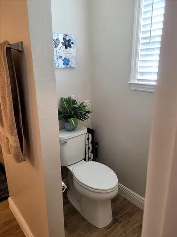 a white toilet sitting next to a window