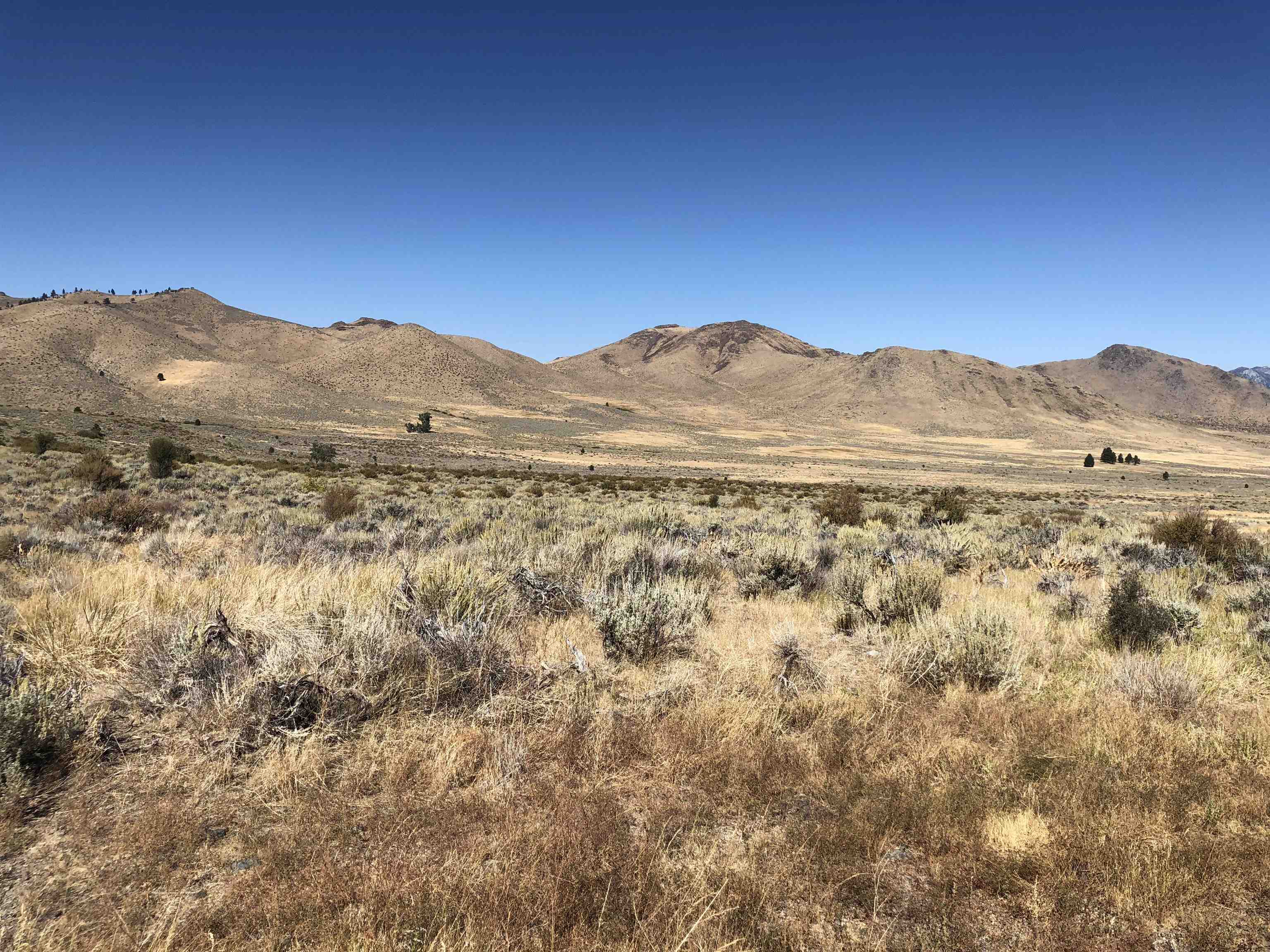 23 Dutchmans Road Loyalton, CA 96118 - Photo 5 of 6 a view of a large mountain with mountains in the background