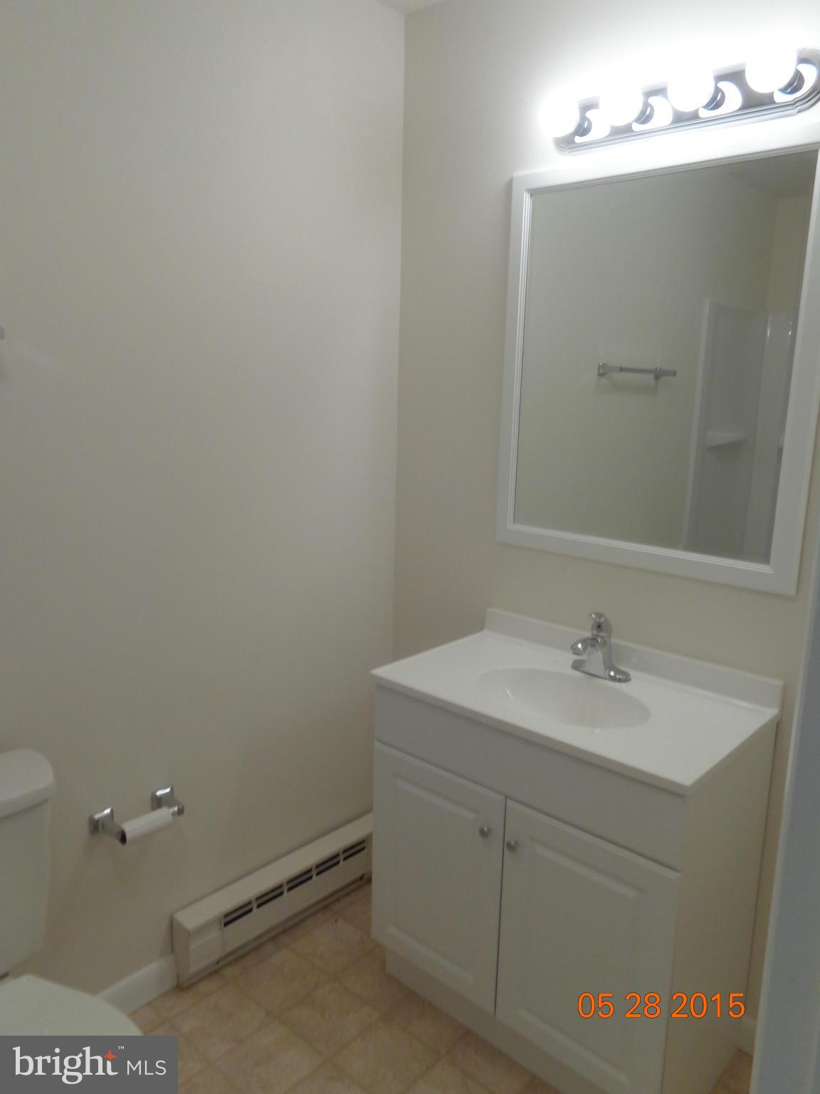 2308 Vineyard Road Falling Waters, WV 25419 - Photo 12 of 30 Bath