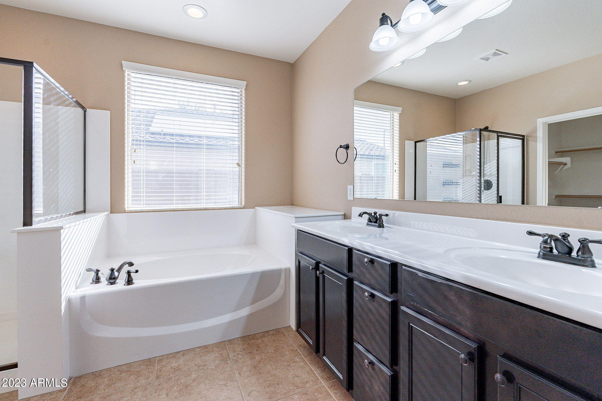 15948 West Berkeley Road Goodyear, AZ 85395 - Photo 31 of 66 30 downstairs primary bathroom-Berkeley