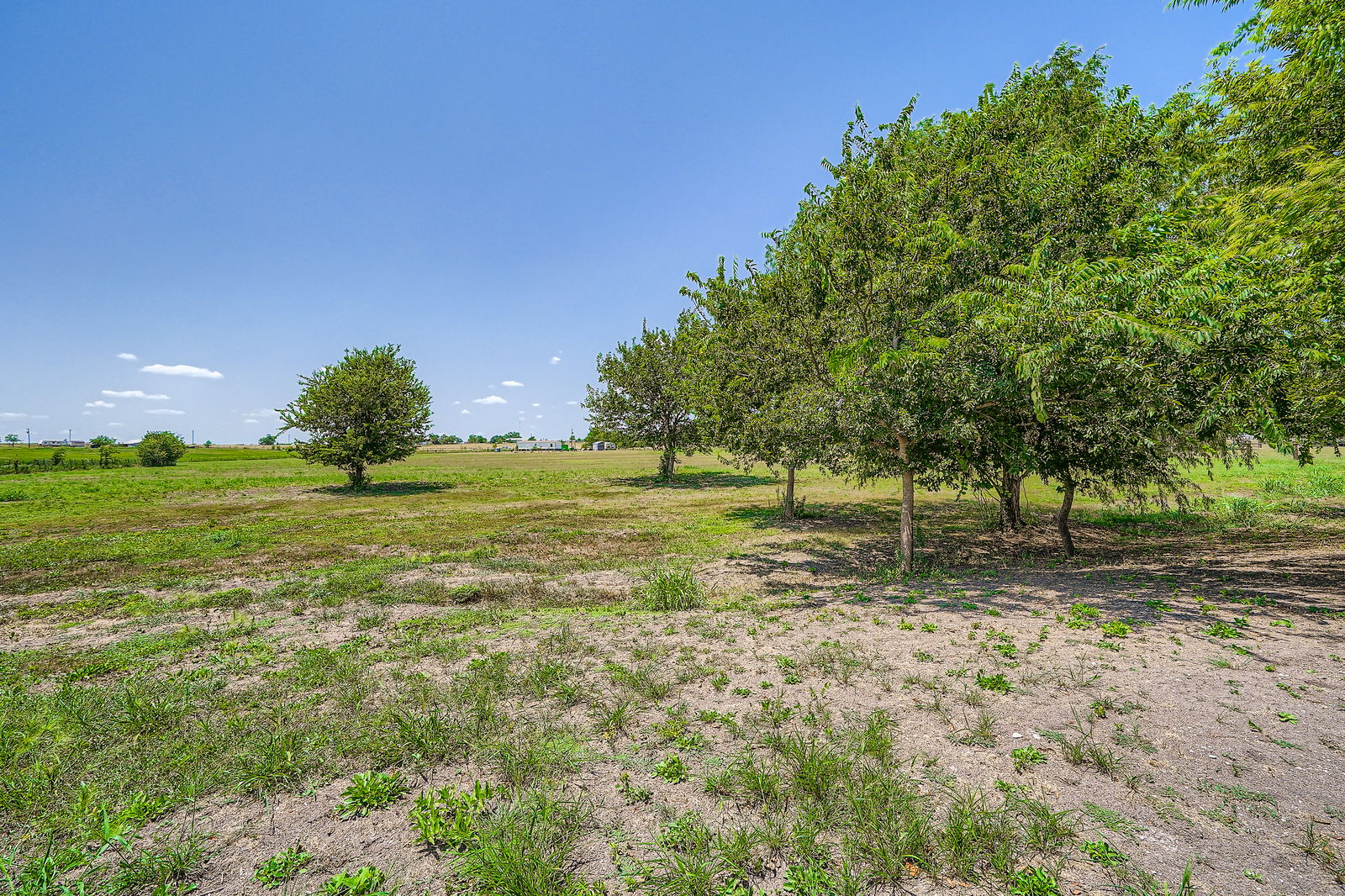 a view of a field with trees in the background