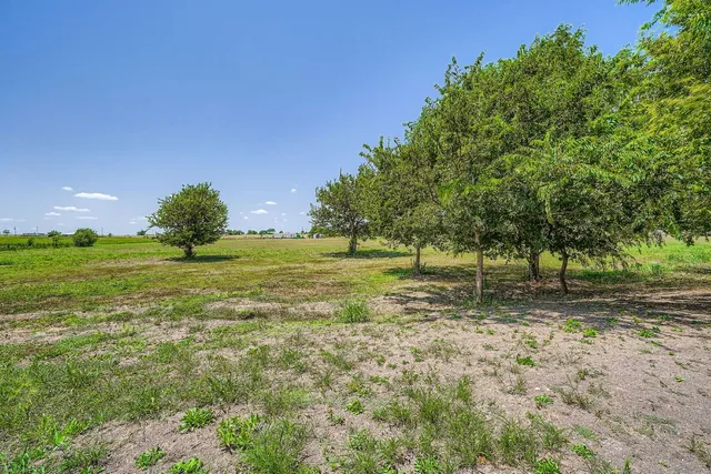 a view of a field with trees in the background