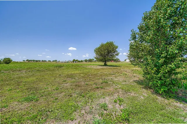 a view of a garage and a garden