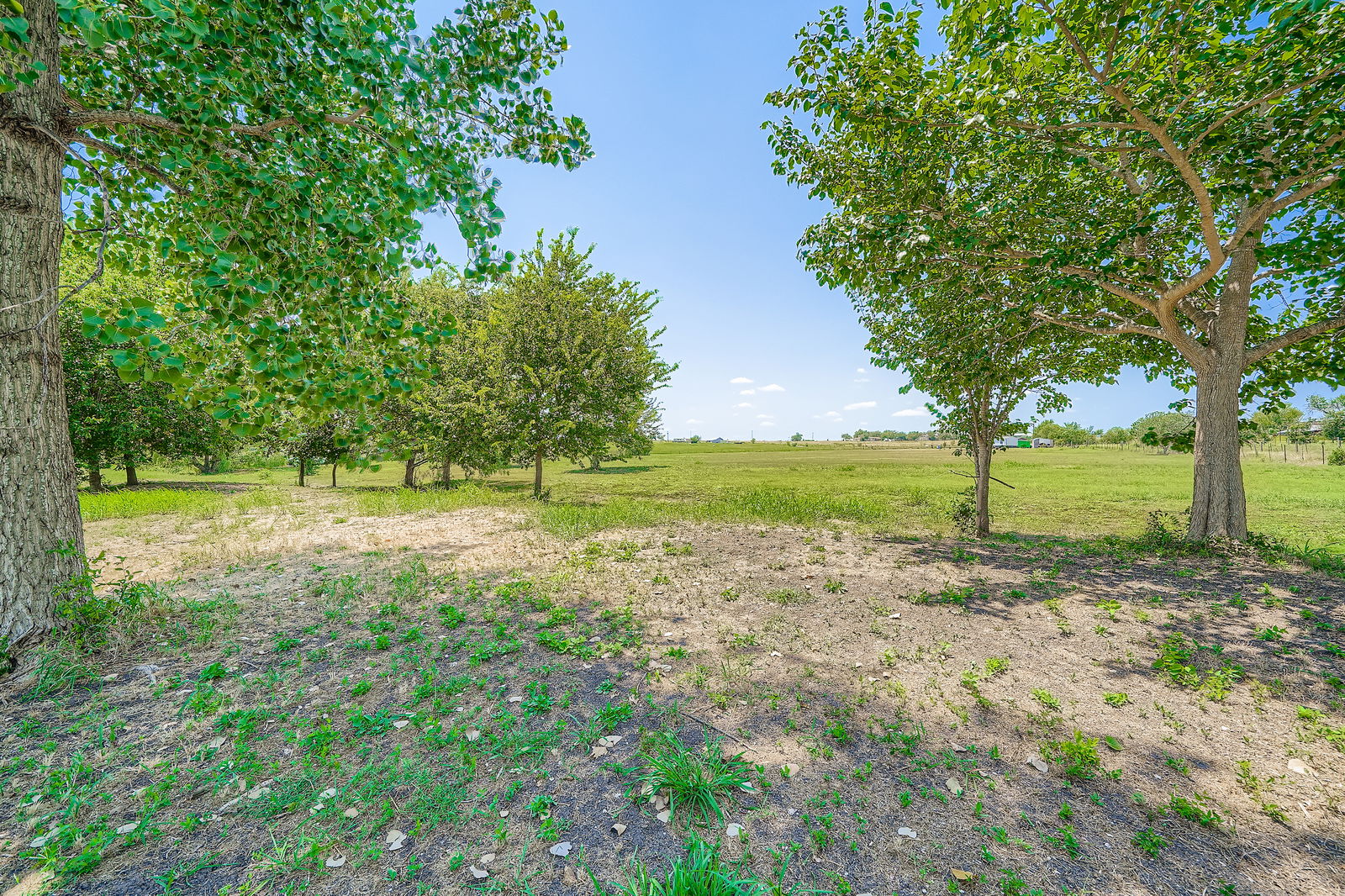 415 County Road 154 Georgetown, TX 78626 - Photo 3 of 28 View of yard featuring a view of rural / pastoral area