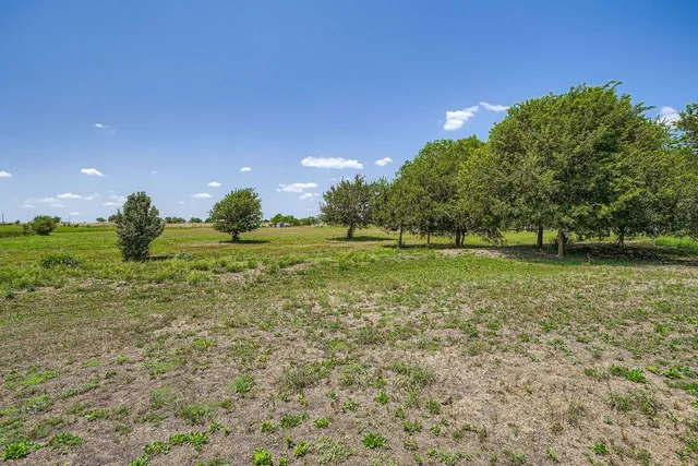 a grassy field with trees in the background