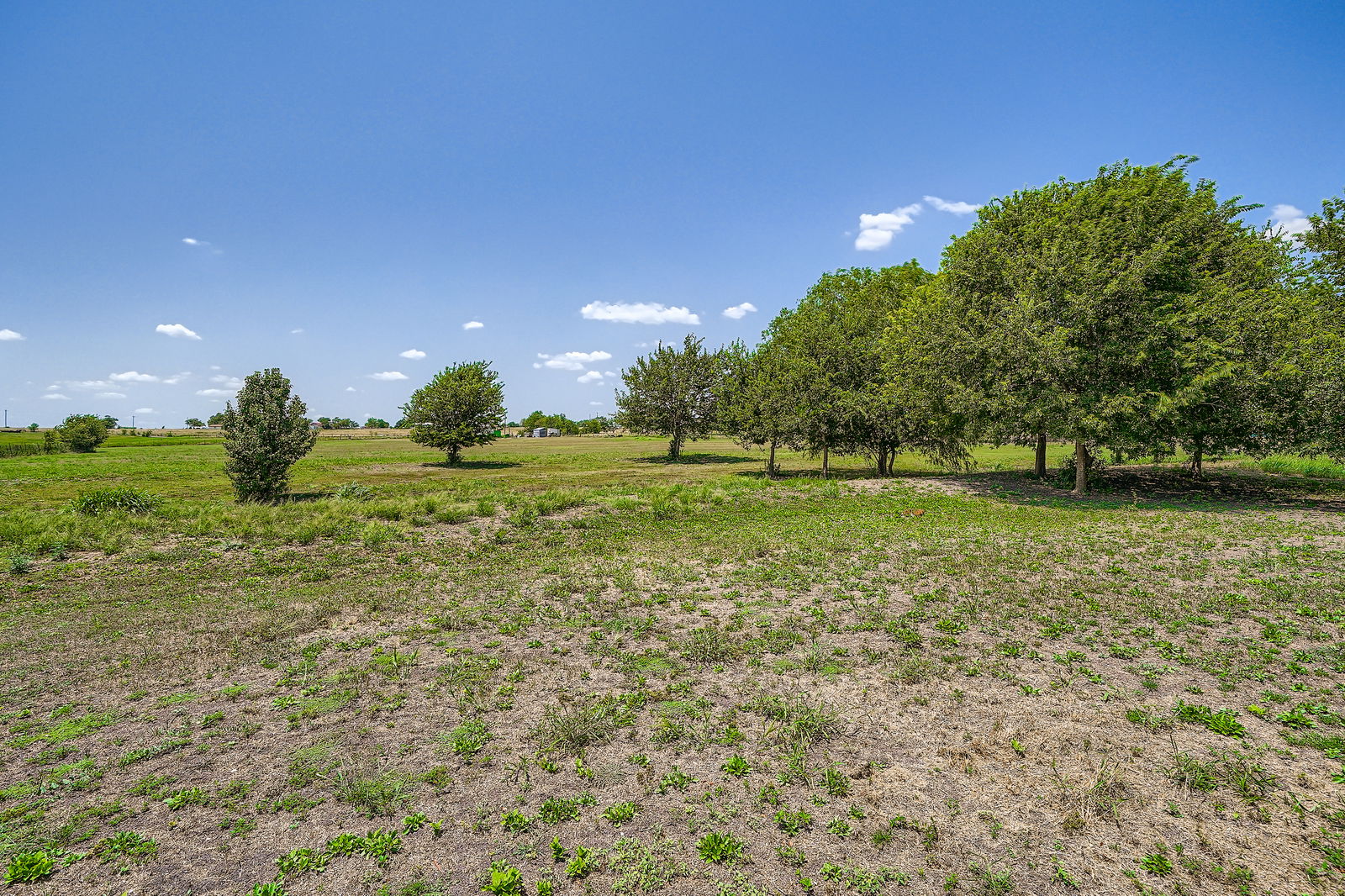 415 County Road 154 Georgetown, TX 78626 - Photo 4 of 28 View of yard with a rural view