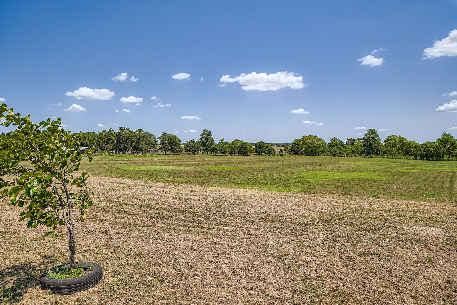 415 County Road 154 Georgetown, TX 78626 - Photo 6 of 28 View of yard featuring a view of rural / pastoral area