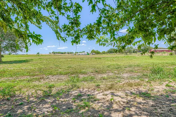a view of a field with an trees