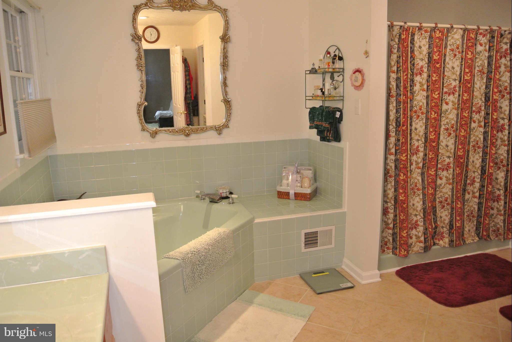 211 White Hall Road Winchester, VA 22603 - Photo 17 of 29 Bath (Master)