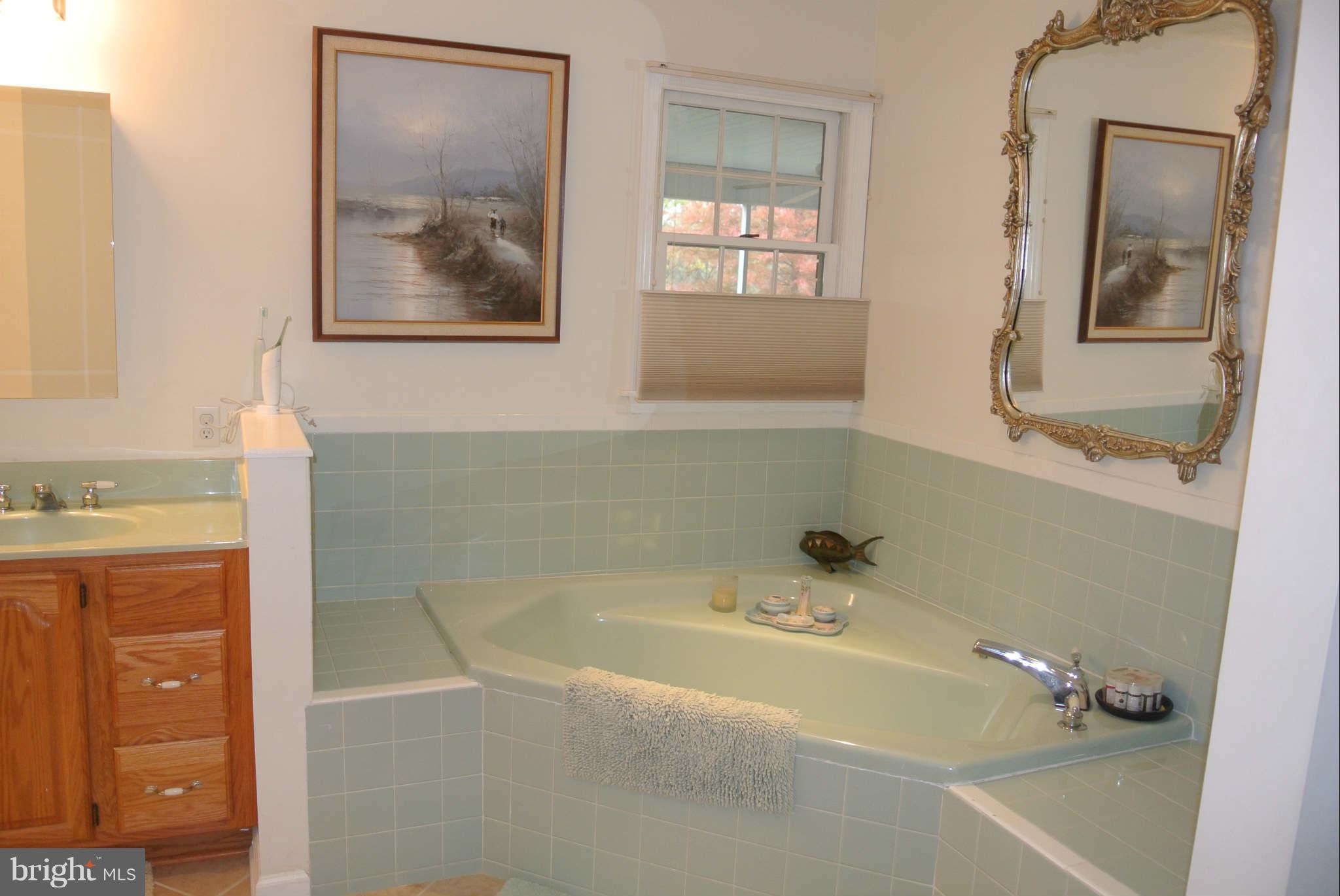 211 White Hall Road Winchester, VA 22603 - Photo 18 of 29 Bath (Master)