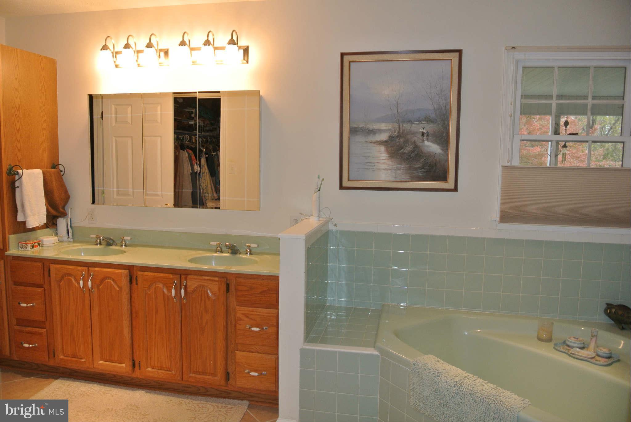 211 White Hall Road Winchester, VA 22603 - Photo 19 of 29 Bath (Master)
