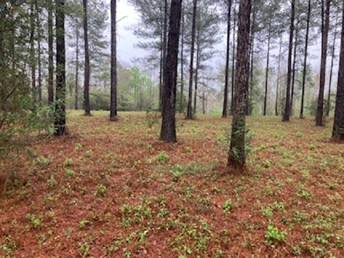 Lot 30 Harbor Road Andalusia, AL 36421 - Photo 3 of 6 Gallery Image 3