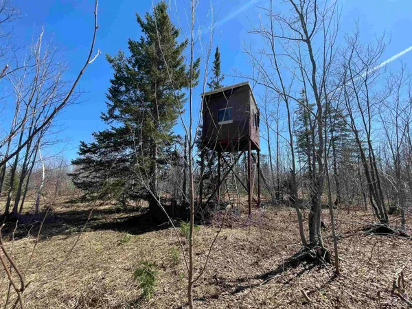 $60,000 | Tbd North County 519 Road, Wakefield, MI 49968