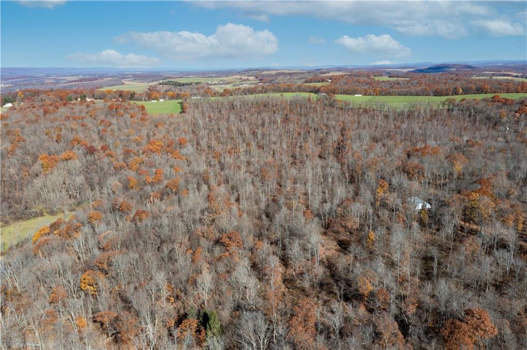0 Conn Road Somerset, PA 15501 - Photo 3 of 16 Gallery Image 3