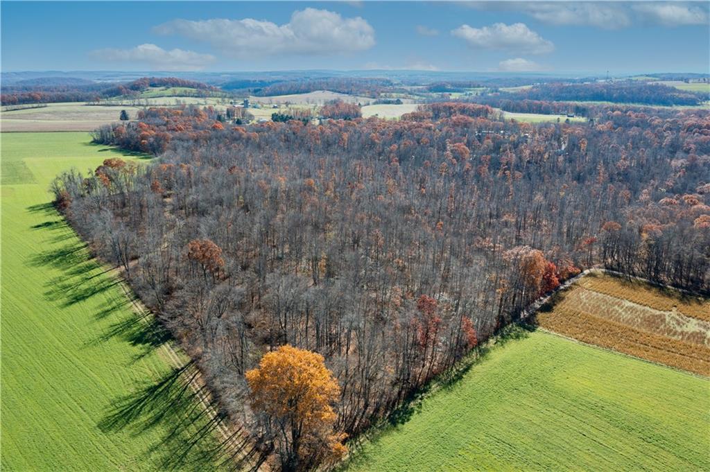 0 Conn Road Somerset, PA 15501 - Photo 4 of 16 Gallery Image 4