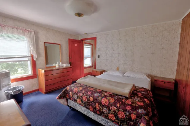 a view of a tree in a garden