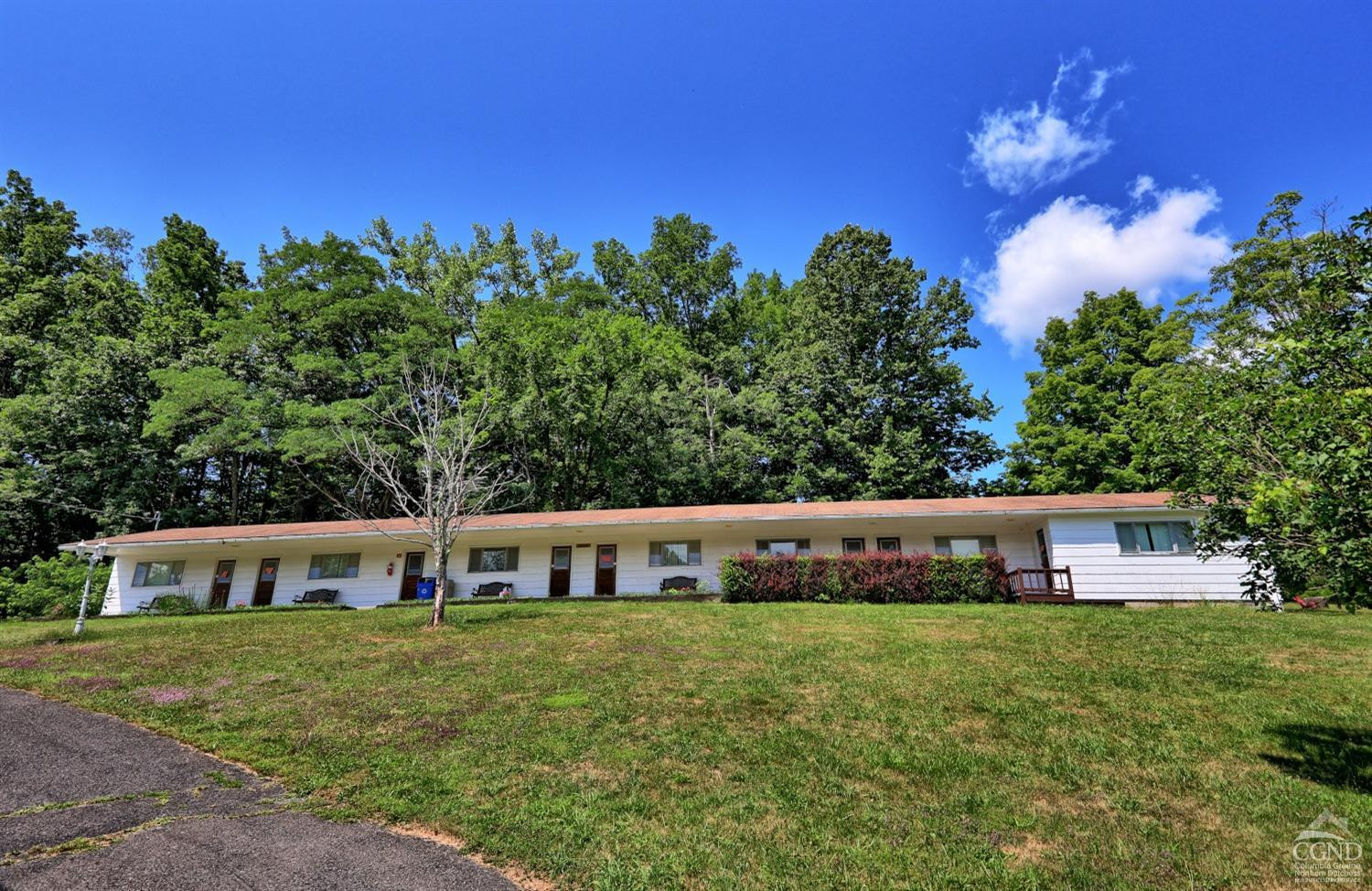 899-907 Red Mill Road Greenville, NY 12083 - Photo 85 of 99 a front view of a house with a yard and trees