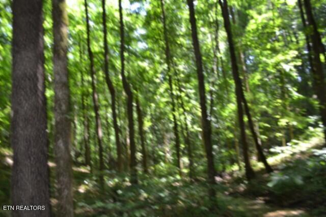 2390 Pea Ridge Fire Tower Road Celina, TN 38551 - Photo 36 of 58 DSC_0128