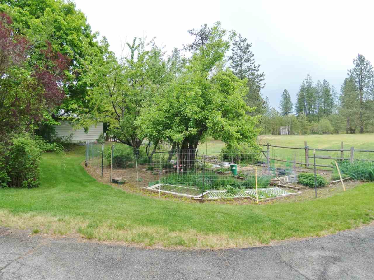 25523 South Carman Road Cheney, WA 99004 - Photo 16 of 20