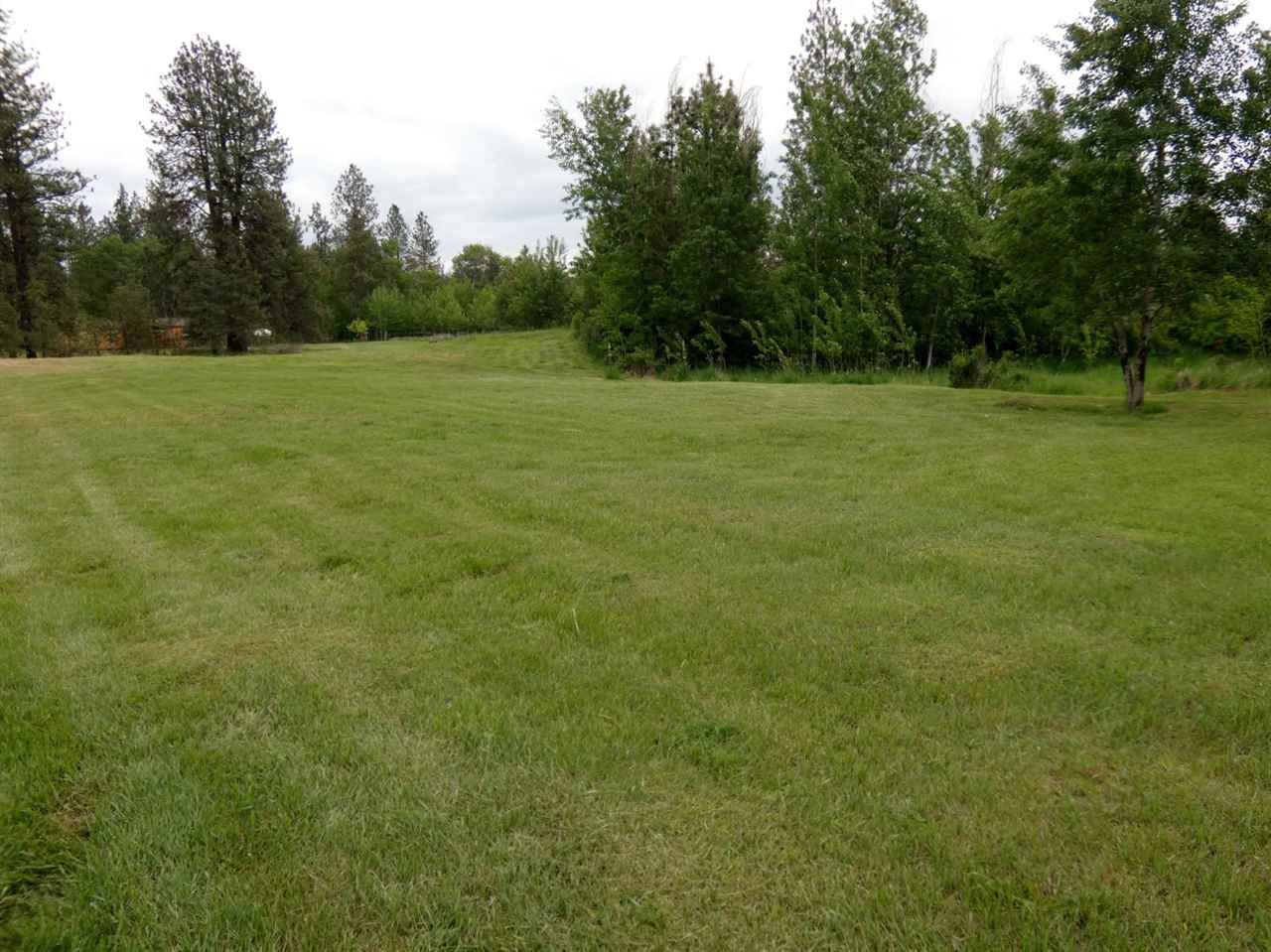 25523 South Carman Road Cheney, WA 99004 - Photo 19 of 20