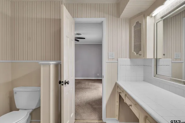 a bathroom with a sink and toilet