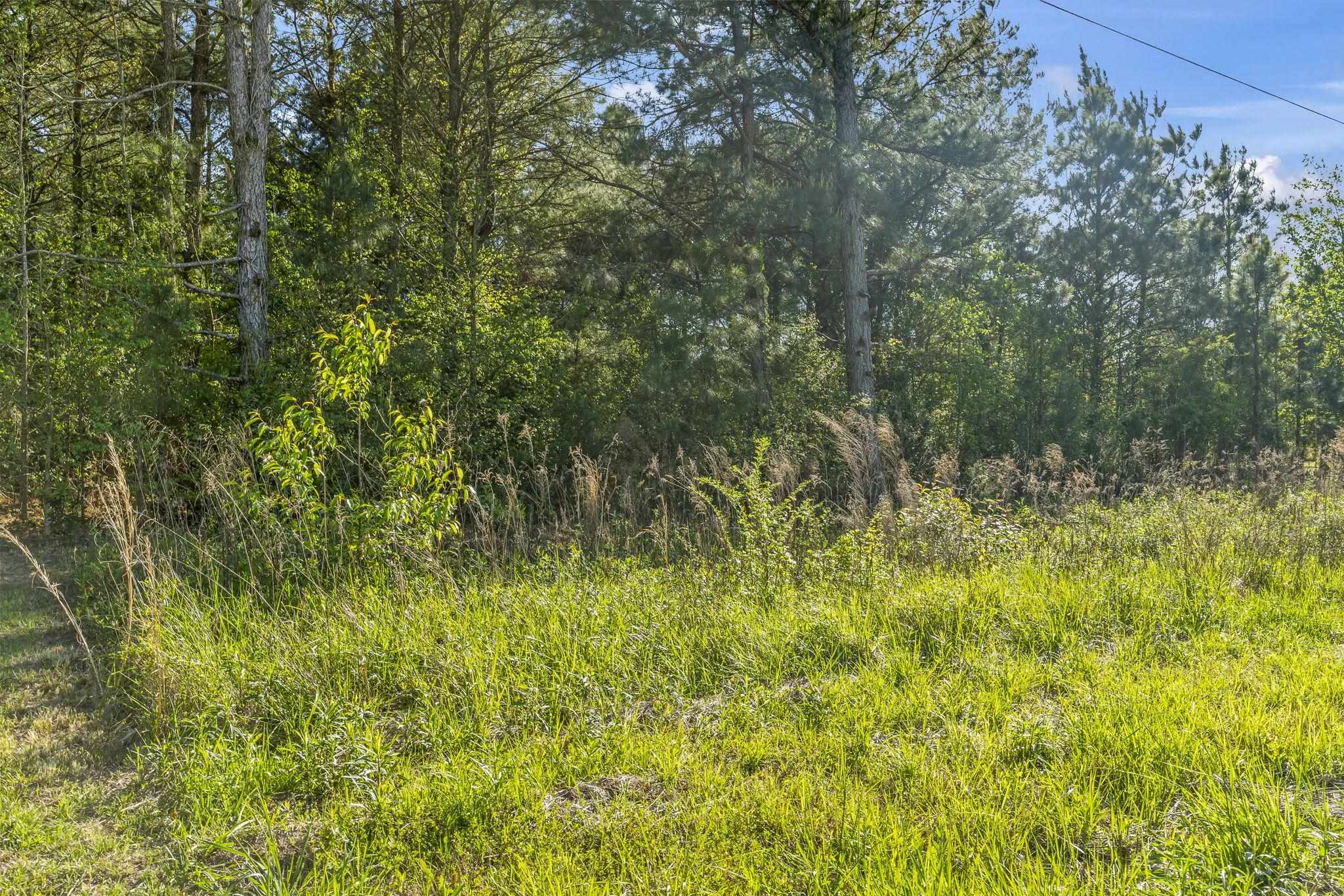 Tbd Colorado Ranch Road Loris, SC 29569 - Photo 7 of 8 Gallery Image 7