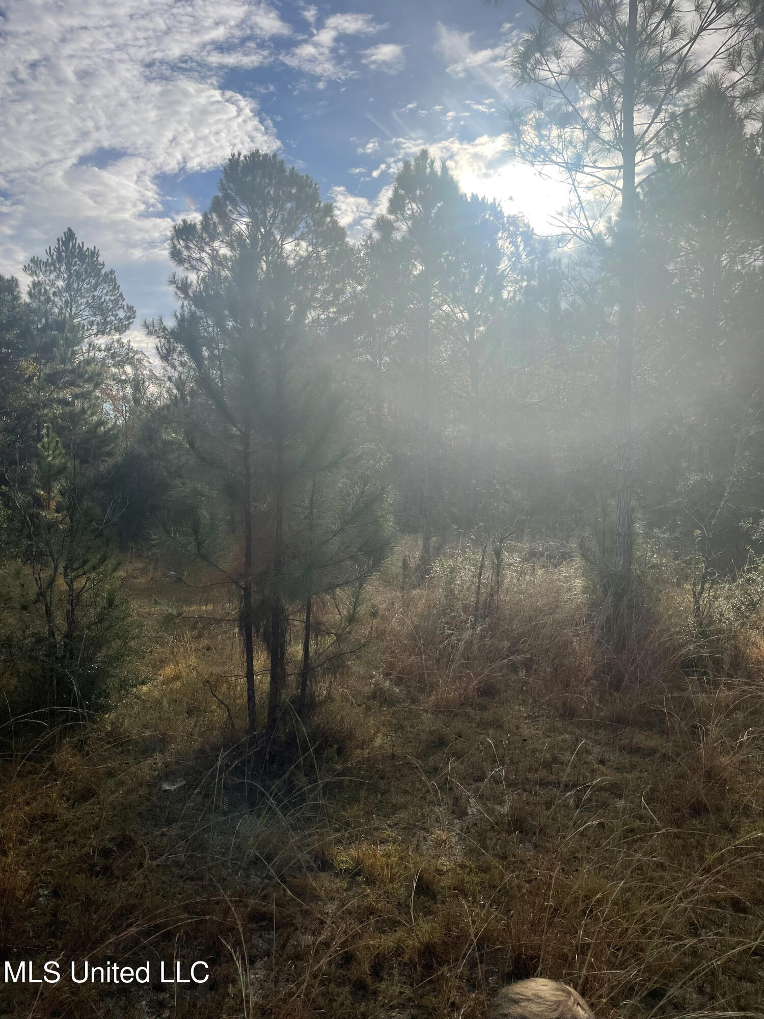 0 East Parker Road Ocean Springs, MS 39565 - Photo 2 of 2 Image (4)