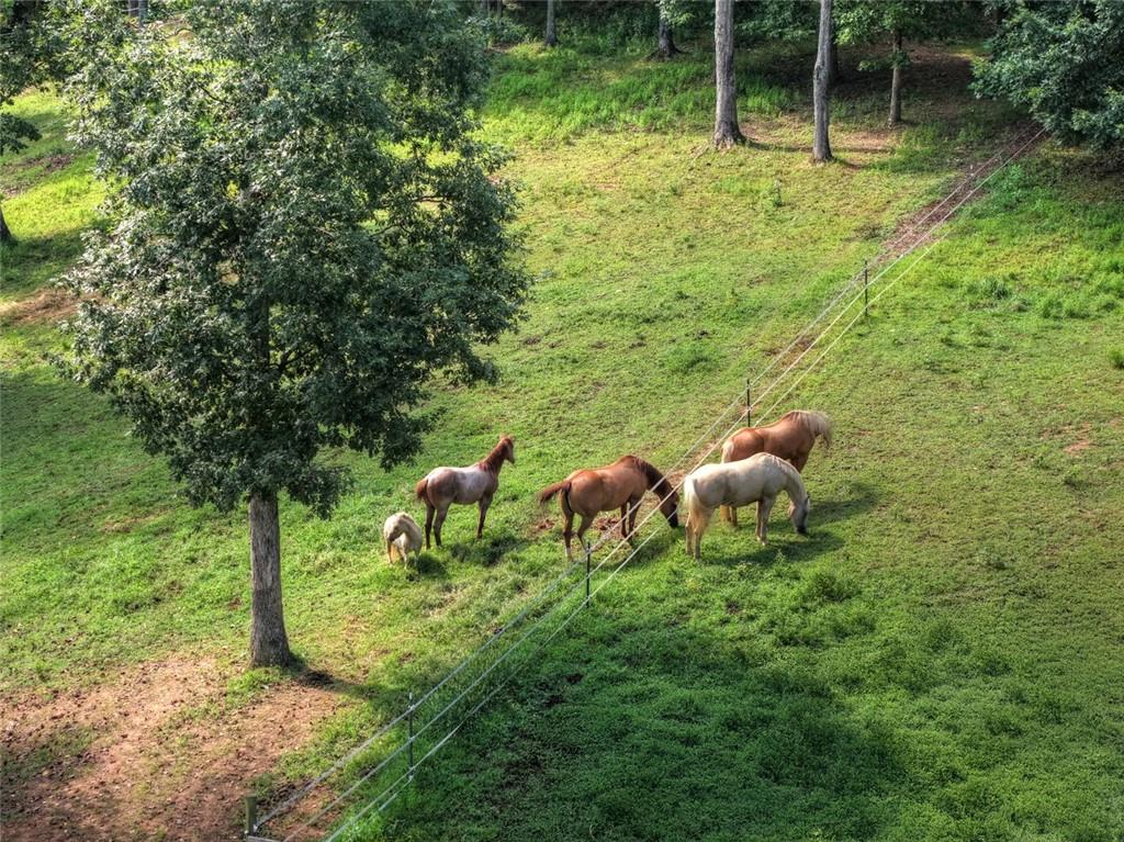 79 Stewart Lane Morganton, GA 30560 - Photo 3 of 47