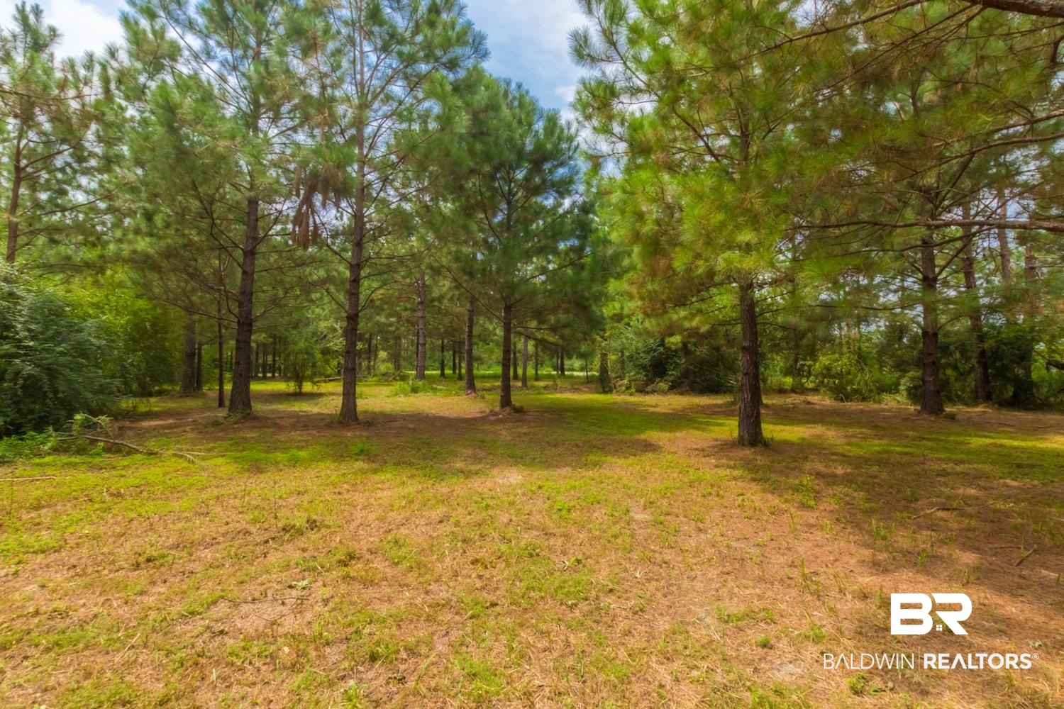 28562 Malkoskie Road Elberta, AL 36530 - Photo 34 of 38