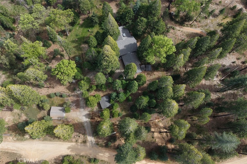 7174 Hites Cove Road Mariposa, CA 95338 - Photo 61 of 62 a view of a forest with a tree