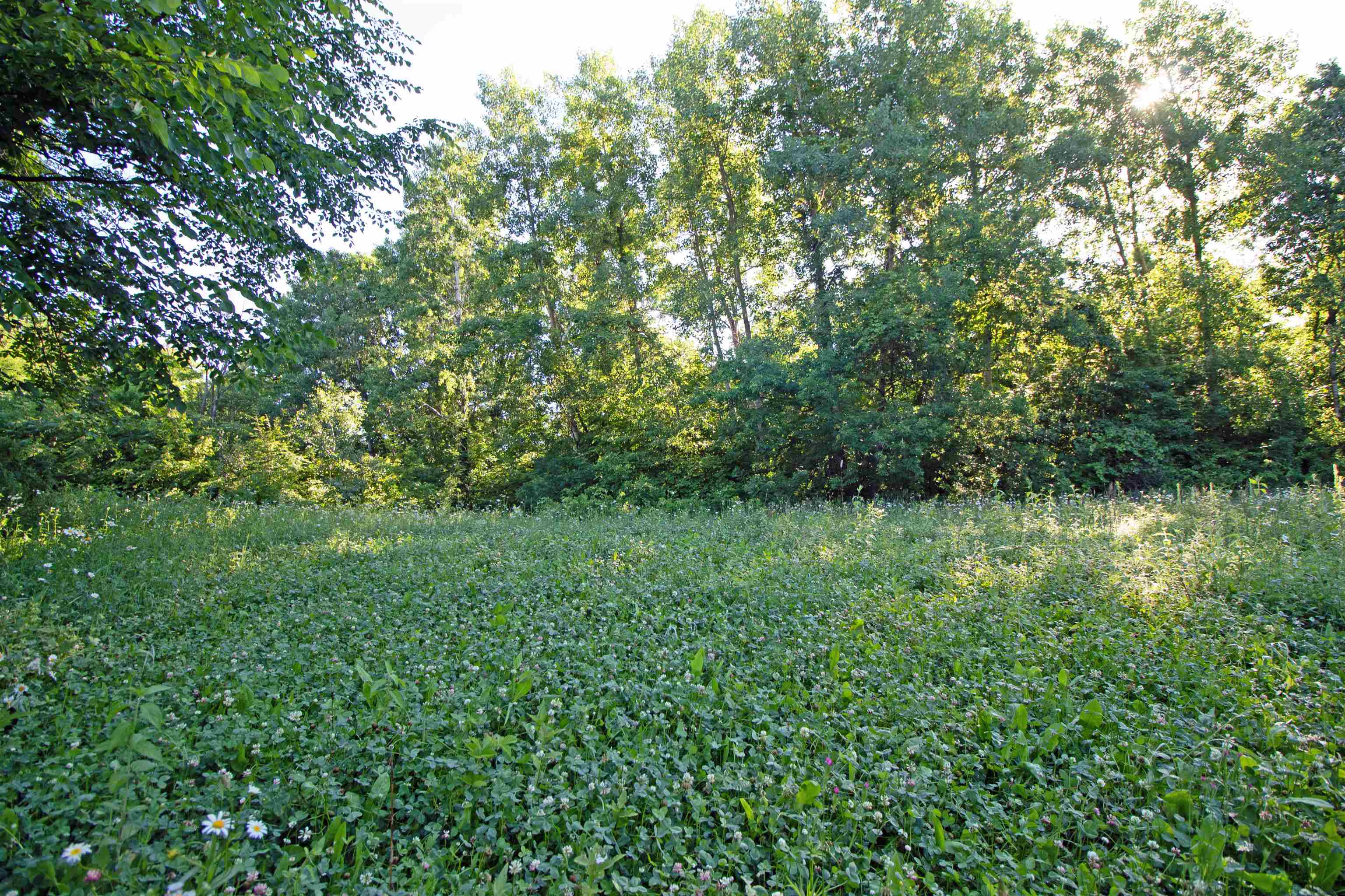 76-acres Skyline Road Blue River, WI 53518 - Photo 14 of 46