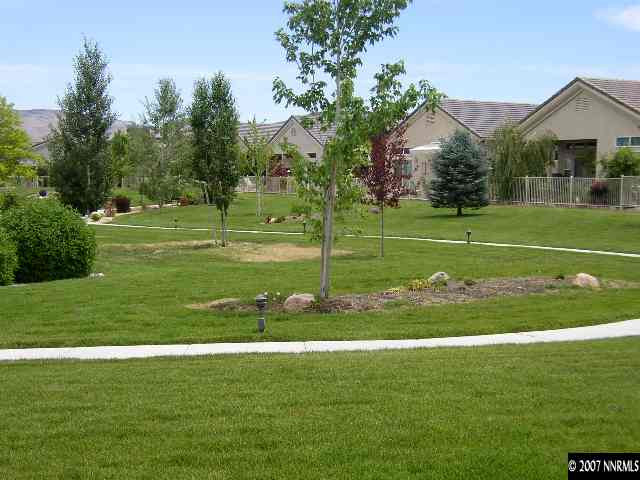 487 Sierra Leaf Circle Reno, NV 89511 - Photo 9 of 9 a view of a grassy field with trees