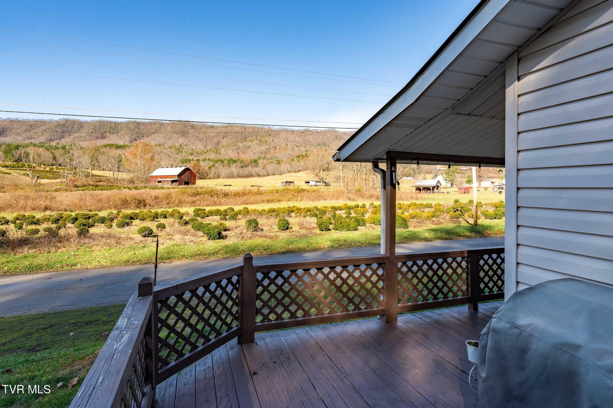 636 Copley Branch Road Butler, TN 37640 - Photo 17 of 54 636 Copley Branch Road (34 of 61)