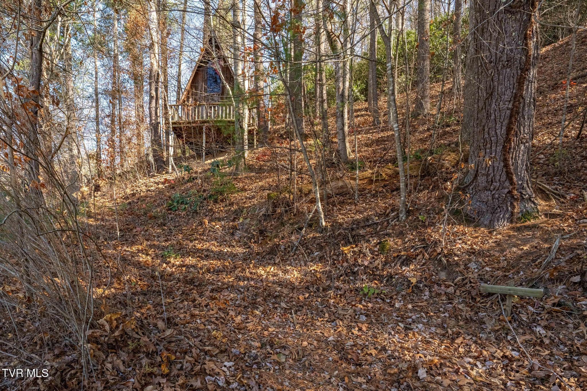 636 Copley Branch Road Butler, TN 37640 - Photo 23 of 54 636 Copley Branch Road (39 of 61)