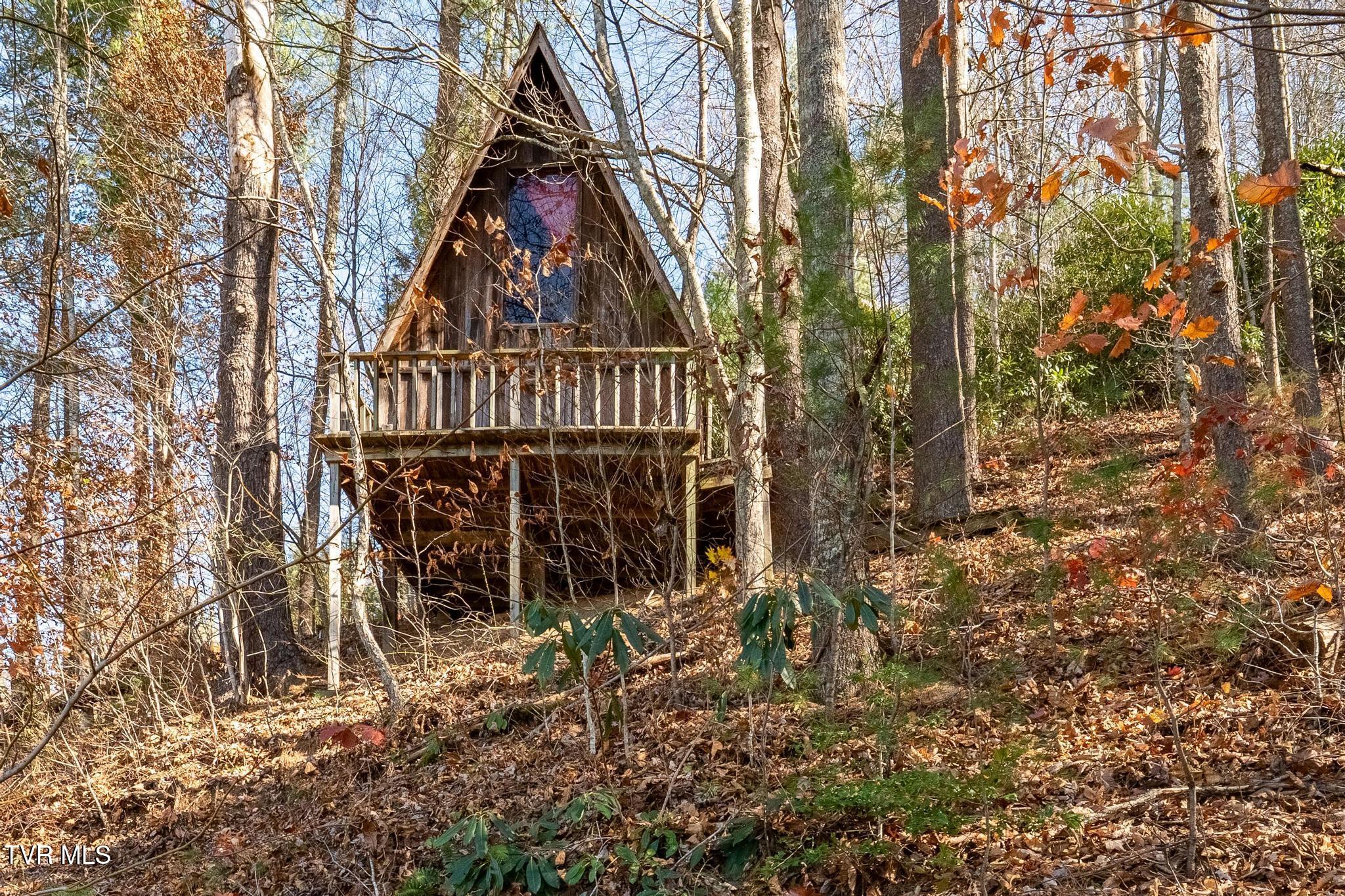 636 Copley Branch Road Butler, TN 37640 - Photo 24 of 54 636 Copley Branch Road (40 of 61)