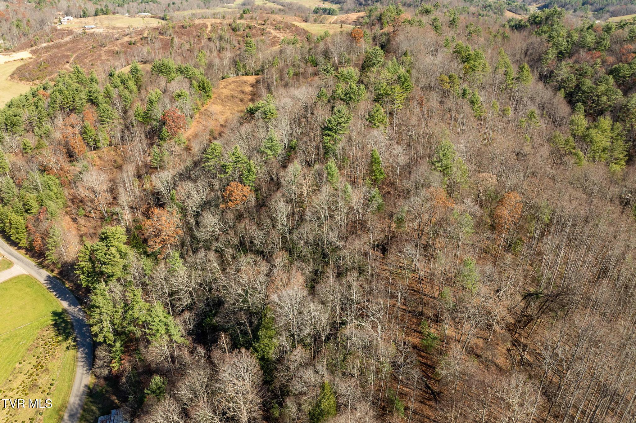 636 Copley Branch Road Butler, TN 37640 - Photo 29 of 54 636 Copley Branch Road (10 of 61)