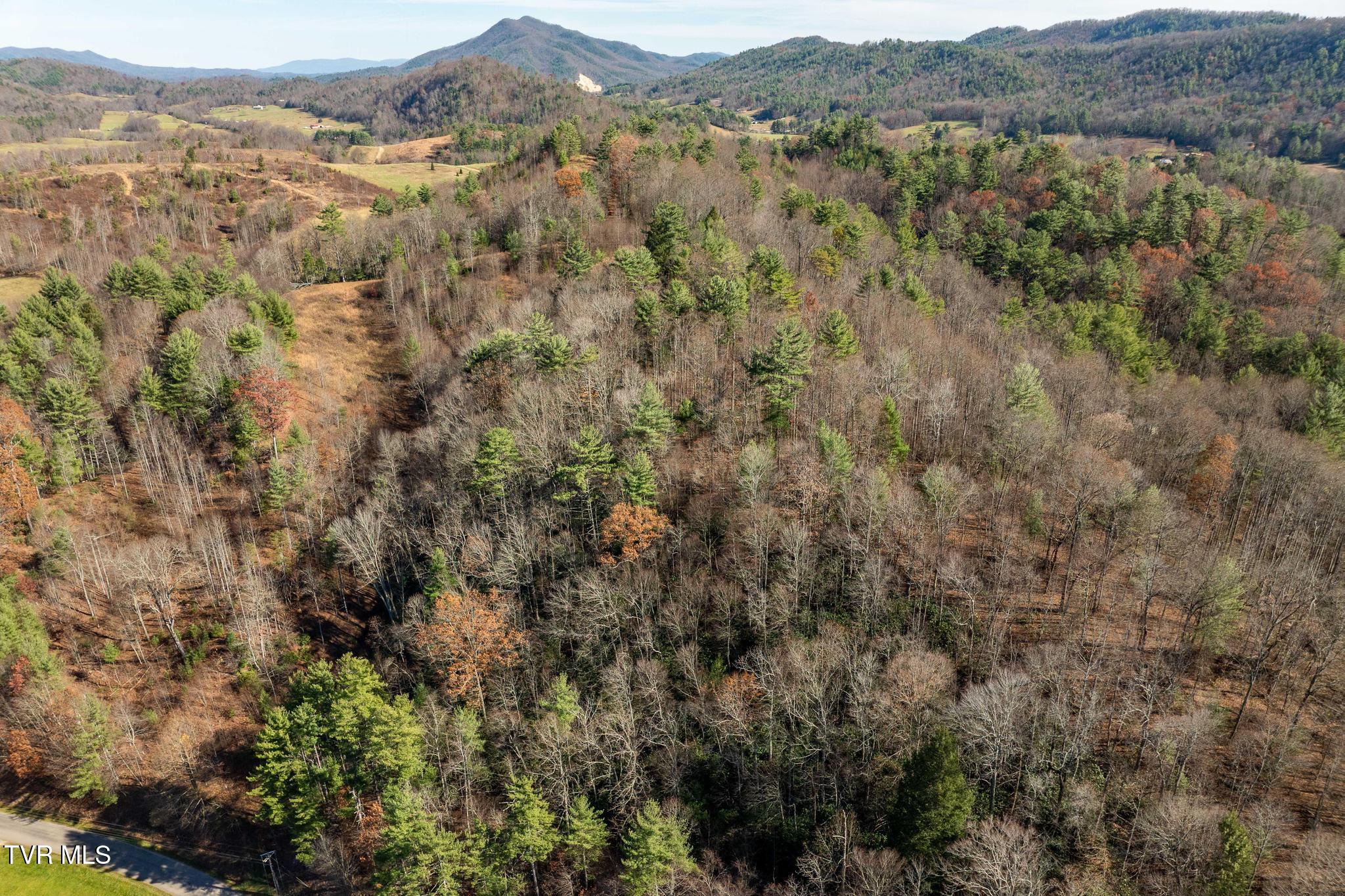 636 Copley Branch Road Butler, TN 37640 - Photo 30 of 54 636 Copley Branch Road (9 of 61)