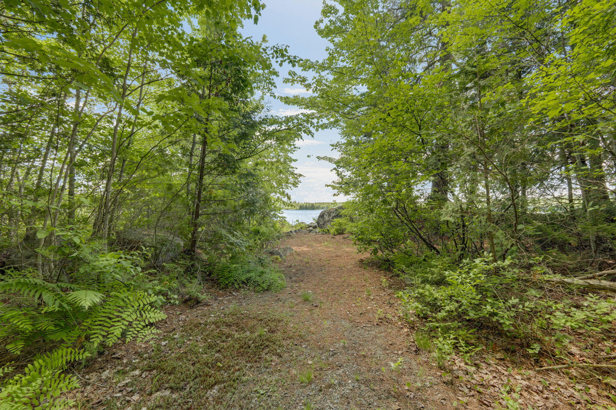 Lot 131 Lot Road Cherryfield, ME 04622 - Photo 42 of 63 42-web-or-mls-lot-131-upper-lead-mountai