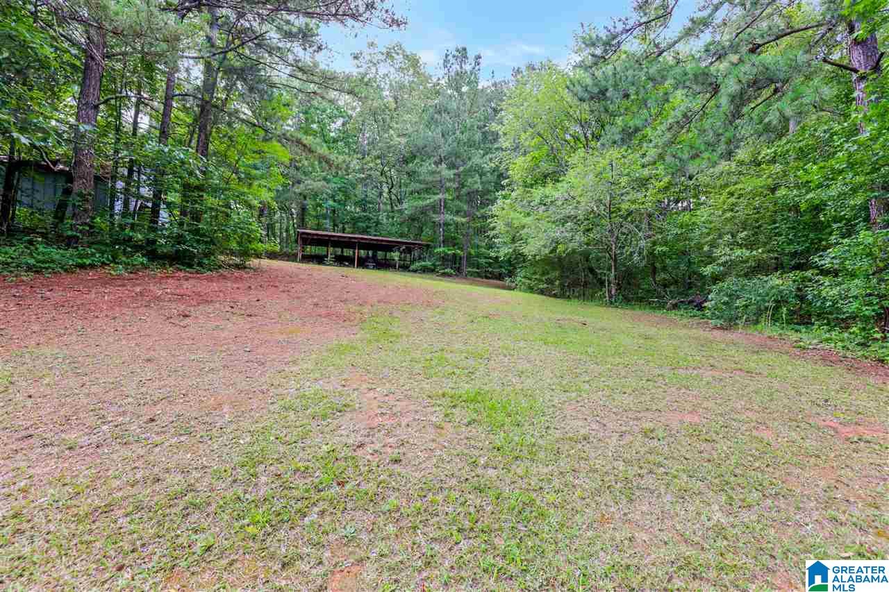615 Pine Ridge Road Pell City, AL 35125 - Photo 22 of 25
