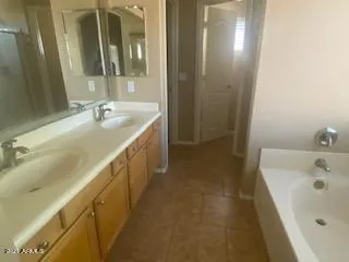 a bathroom with a sink a mirror and a shower