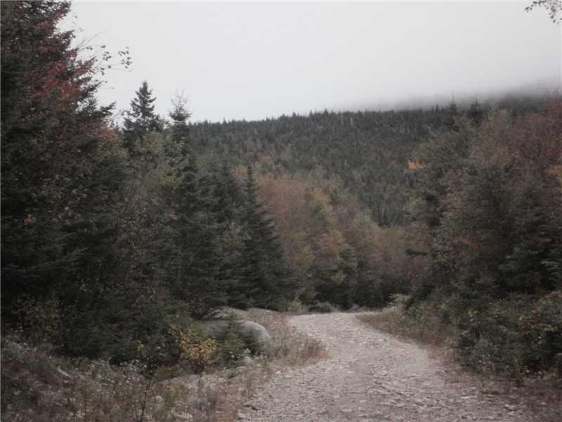 Lot 2-6 Lot Road West Forks, ME 04985 - Photo 4 of 8 Land/Lot.