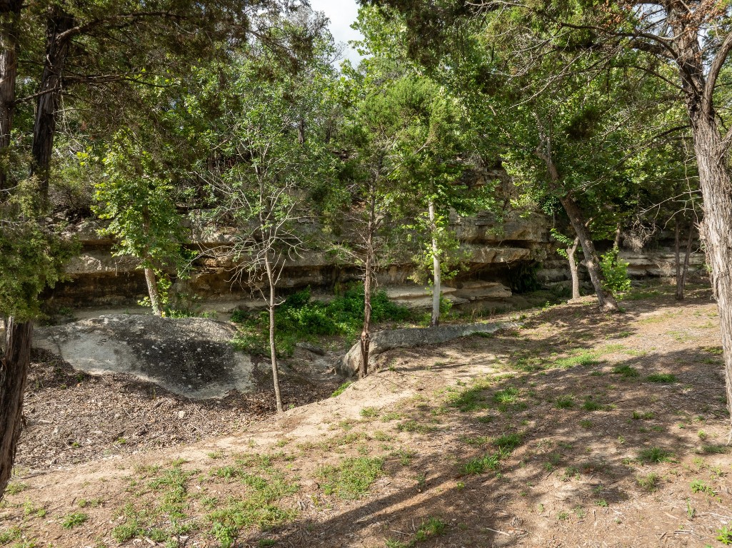 23642-23644 Nameless Road Leander, TX 78641 - Photo 12 of 37 a backyard of a house with lots of green space
