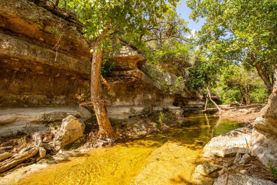 23642-23644 Nameless Road Leander, TX 78641 - Photo 5 of 37 a view of a yard