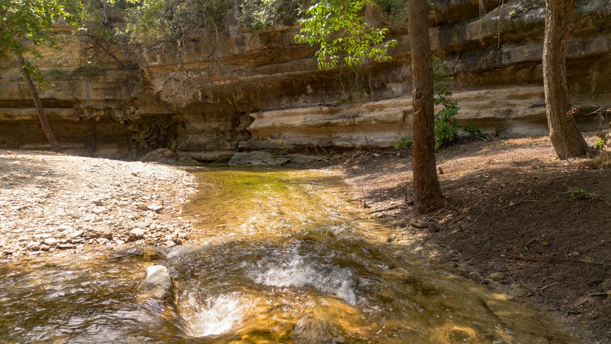 23642-23644 Nameless Road Leander, TX 78641 - Photo 6 of 37 a view of a yard with wooden fence