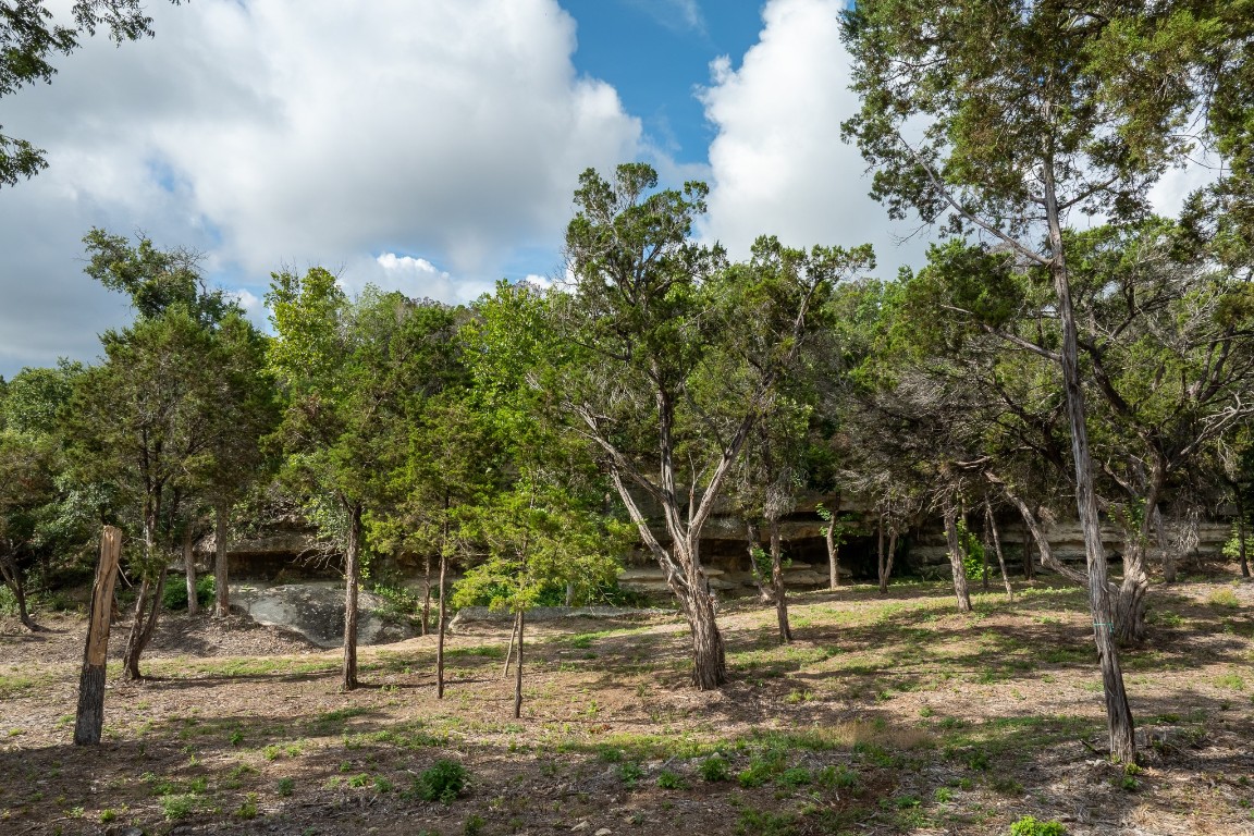 23642-23644 Nameless Road Leander, TX 78641 - Photo 10 of 37 a view of a tree in a yard