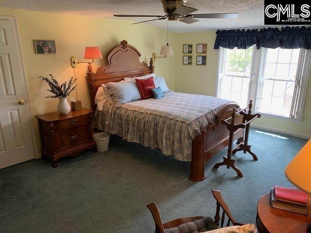 223 State Rd S-20-53 Winnsboro, SC 29180 - Photo 17 of 45