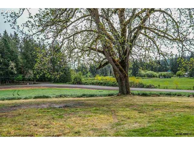 33558 Mt Pleasant Road Lebanon, OR 97355 - Photo 4 of 32 Gallery Image 4