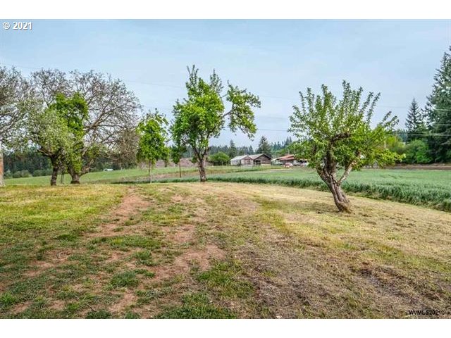 33558 Mt Pleasant Road Lebanon, OR 97355 - Photo 6 of 32 Gallery Image 6
