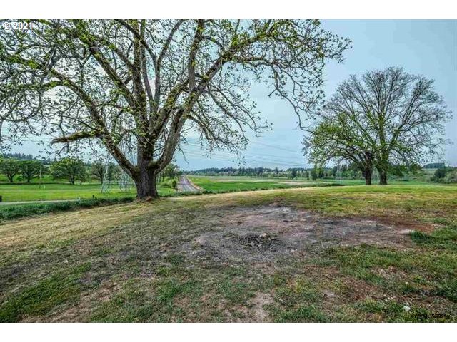 33558 Mt Pleasant Road Lebanon, OR 97355 - Photo 7 of 32 Gallery Image 7
